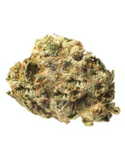 Gorilla Glue