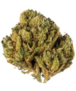 Alien Cookies