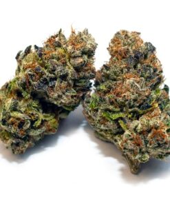 Bruce Banner