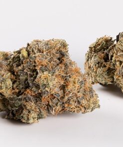 El Jefe (AAAA)