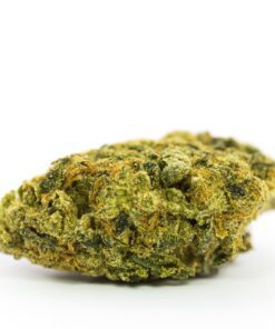 Lemon Skunk