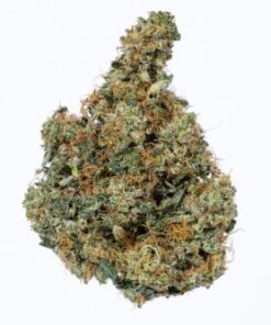 Organic Tom Ford (AAAA)