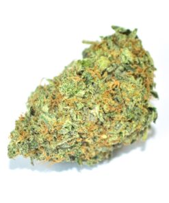 Platinum Bubba