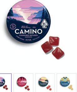 20-pack GUMMIES - CAMINO
