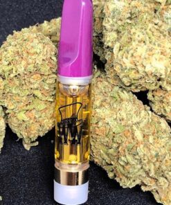 Strawberry 🍓 shortcake