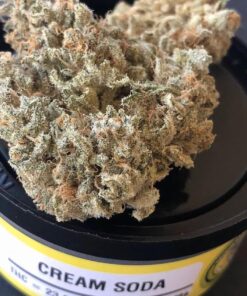 Cream SODA Premium THC POD 1g